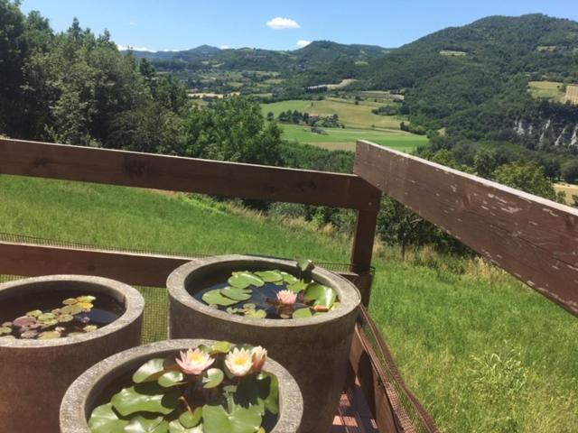 Casa Petra - Casa Tre Stelle - Casa Caneva - Ferien Fuer 6-14 Personen Ponti Экстерьер фото