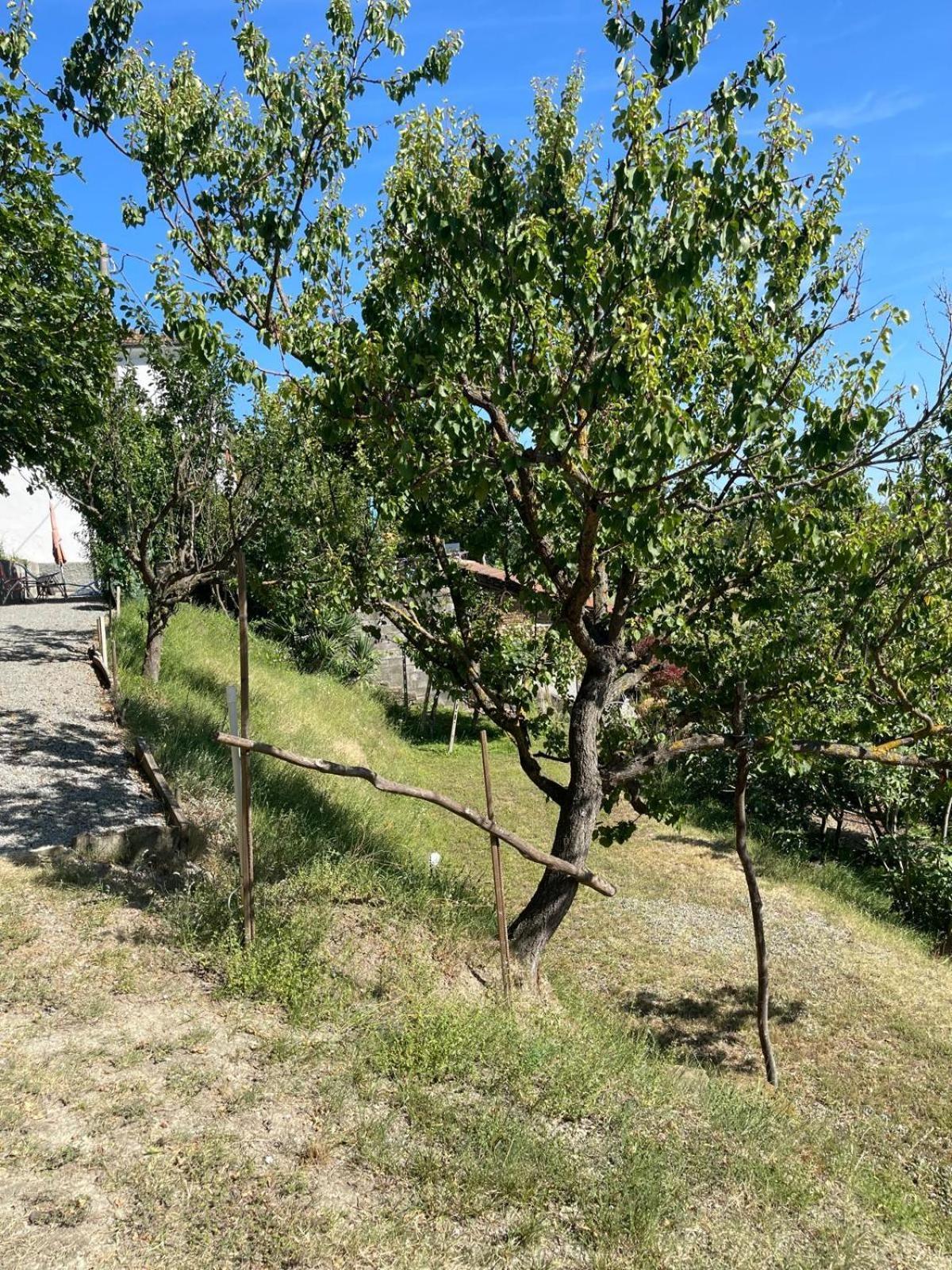 Casa Petra - Casa Tre Stelle - Casa Caneva - Ferien Fuer 6-14 Personen Ponti Экстерьер фото